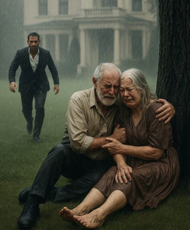 💔 Millionär kehrt unerwartet zurück und findet seine Eltern im Regen stehen — was er dann tat, ließ alle sprachlos zurück.