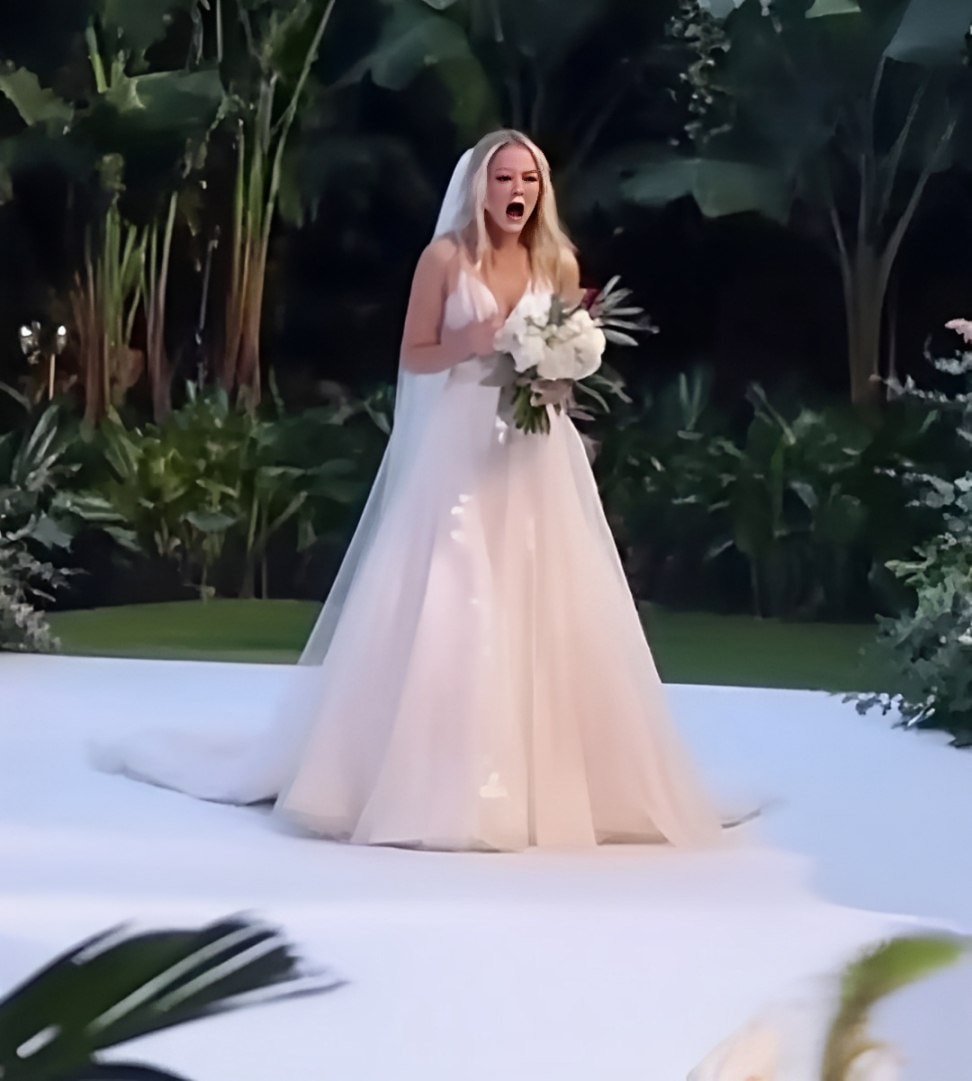 Meine Schwester entführte meinen Verlobten – doch ich hatte das letzte Lachen auf ihrer Hochzeitsfeier.