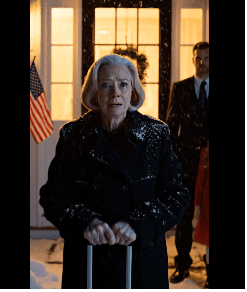 A fiam felhívott, és azt mondta: „Karácsonykor találkozunk, anya, már lefoglaltam a helyünket”, de amikor a bőröndömet átvonszoltam az ország felén az ajtajáig, csak annyit hallottam: „A feleségem nem akar idegent vacsorázni”, és az ajtó becsapódott az orrom előtt – mégis három nappal később ők hívtak újra és újra. – Hírek